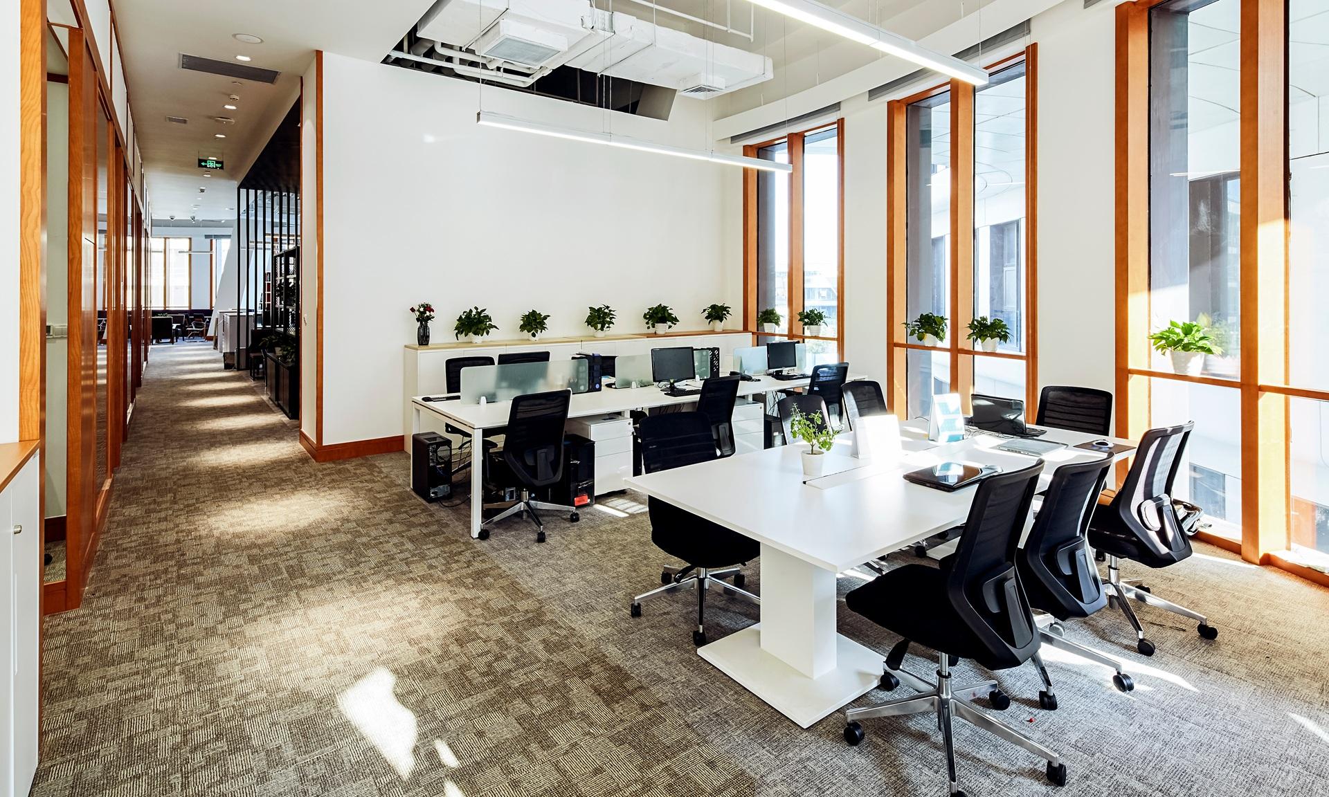 Türen Wilhelmshaven – helles Büro mit Fensterfront und Pflanzen